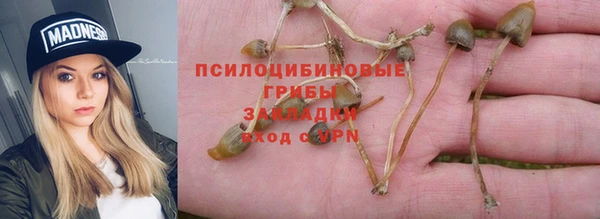 jwh Горно-Алтайск