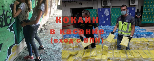 Альфа ПВП Горняк