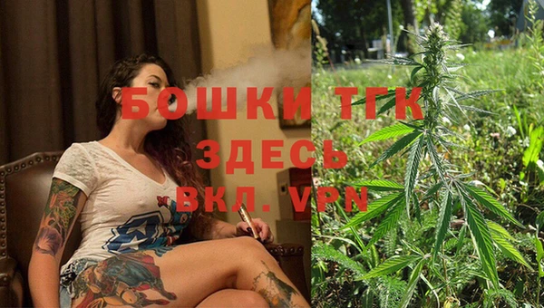 Альфа ПВП Горняк