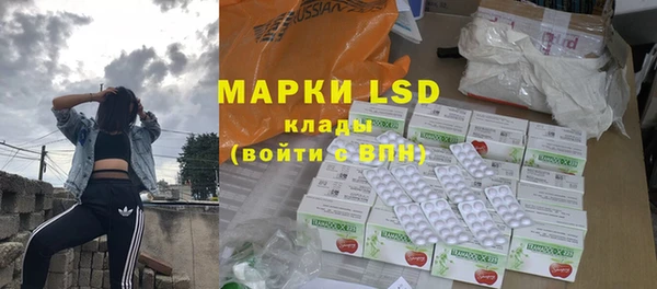 Альфа ПВП Горняк
