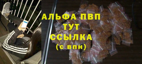 Альфа ПВП Горняк