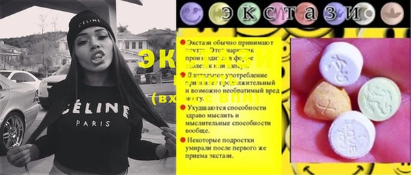 амф Снежногорск